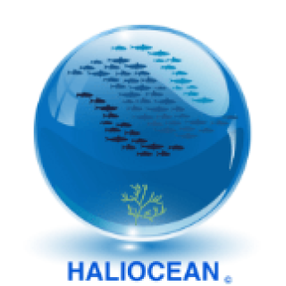 HALIOCEAN